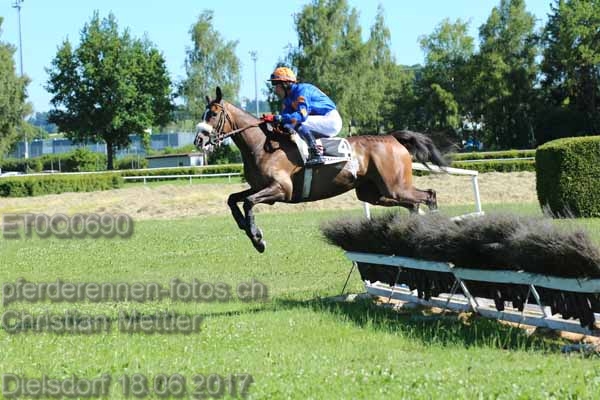 ET0Q0690 prot
